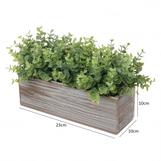 Plants Wooden Pots 